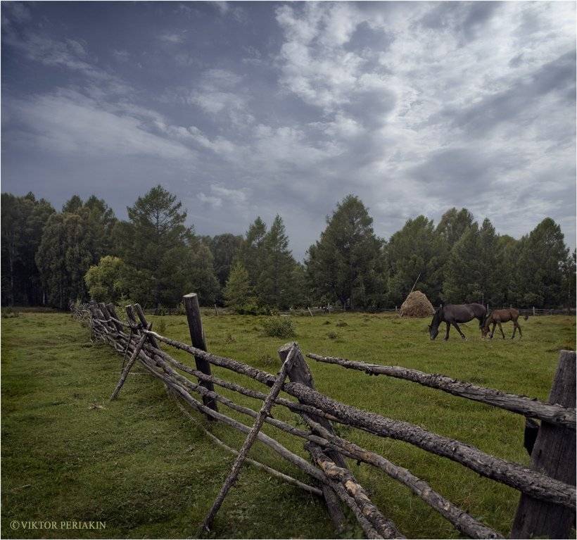 покос, стога, байкал, лошади, изгородь, родина, Виктор Перякин
