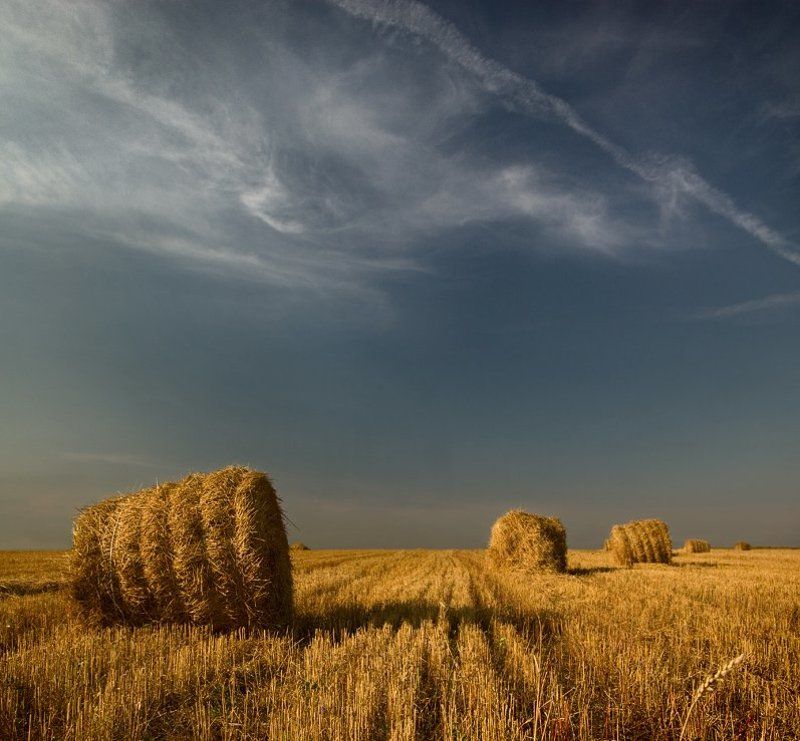 лето, поле, катышки Соломенное безмолвие (часть 2). фото превью