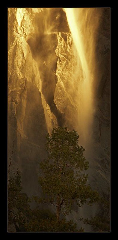 Золотая вуаль фото превью