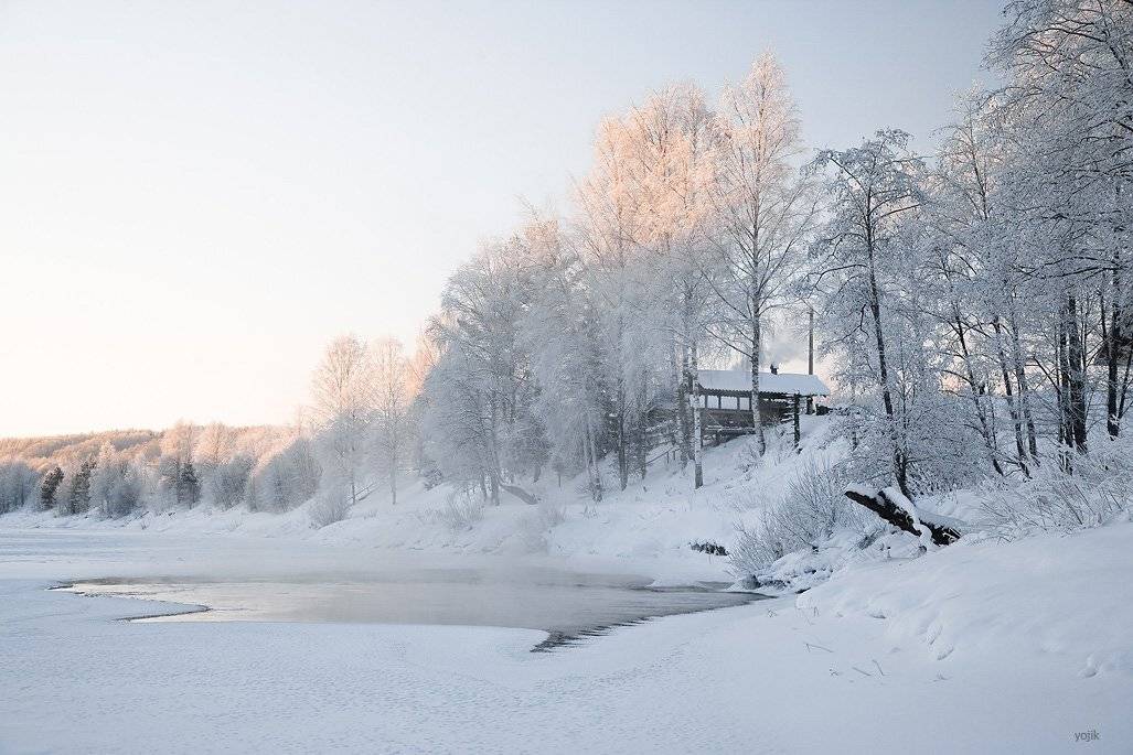 зимняя, сказка, Милый Ёжка