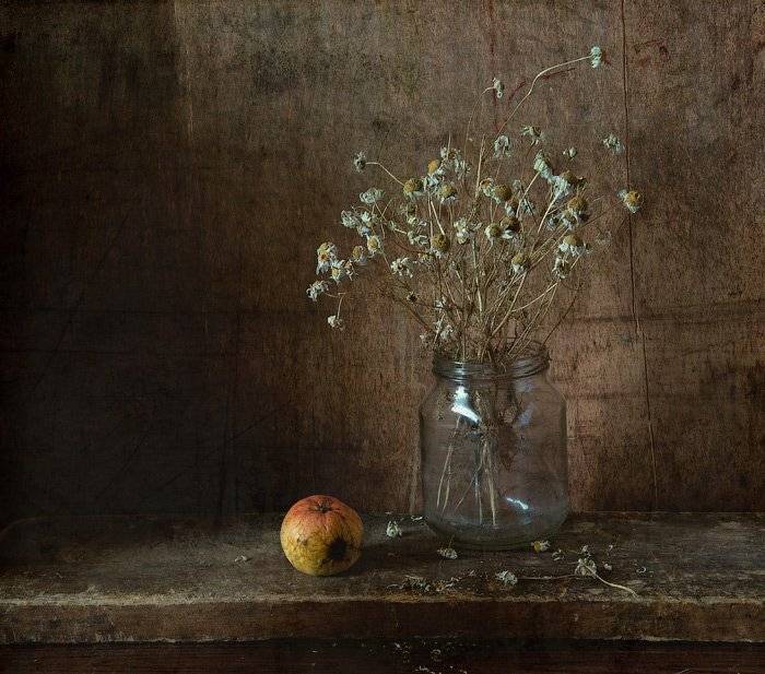 , Октай Гусейнов