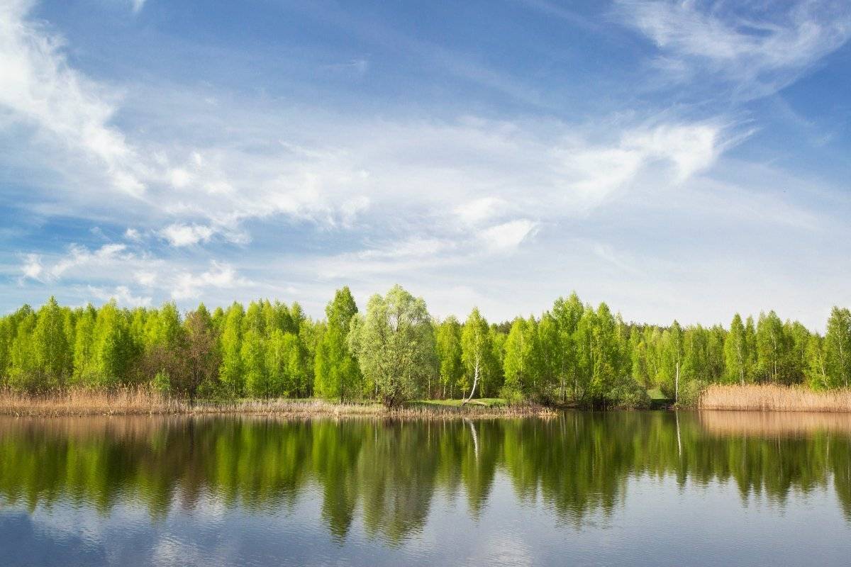 , Александр Удовиченко