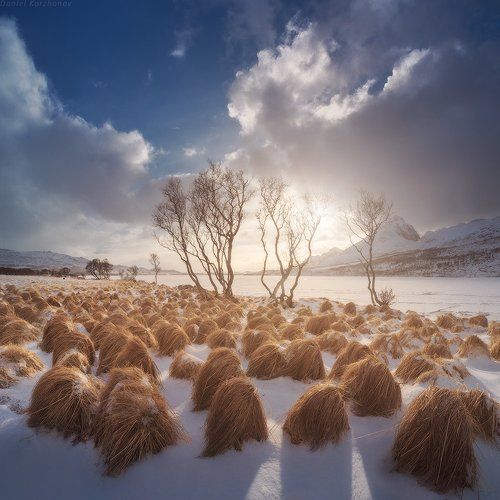 Тролли в театре