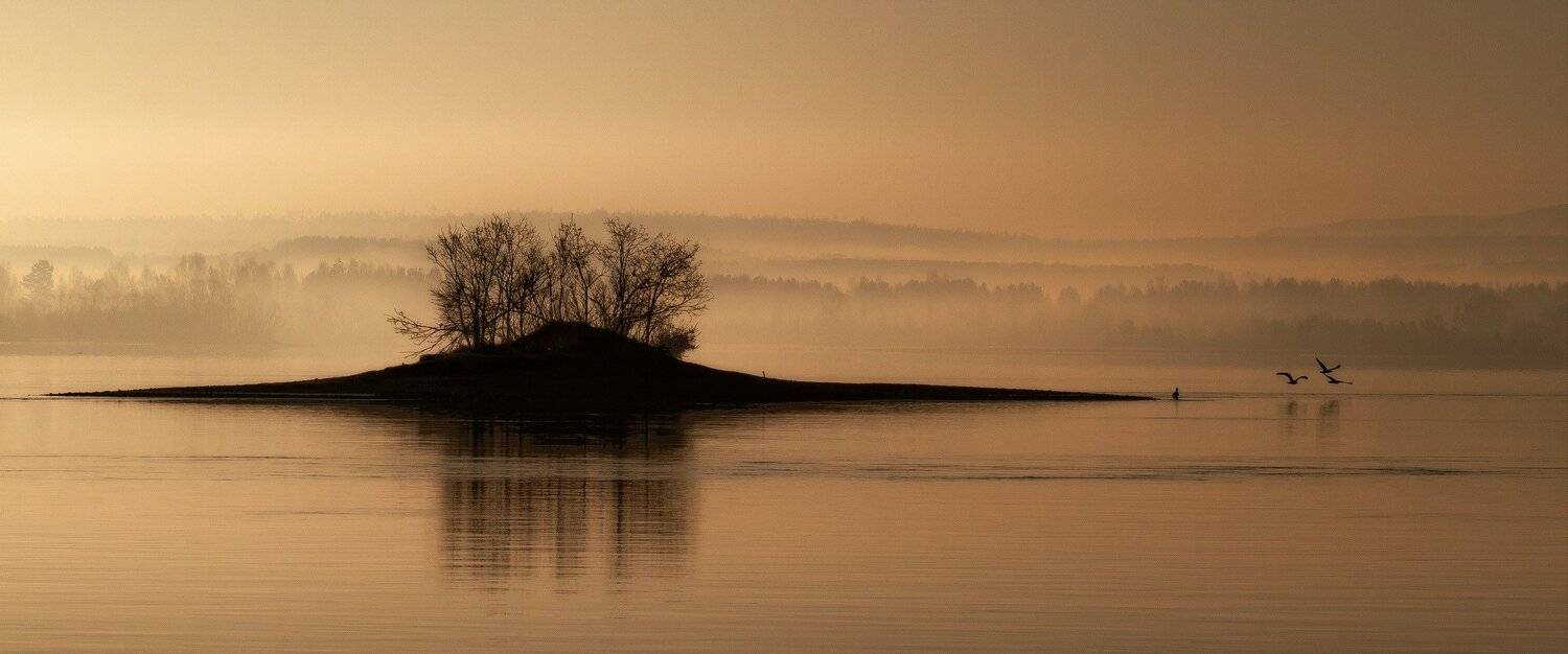 , Алексей Трофимов