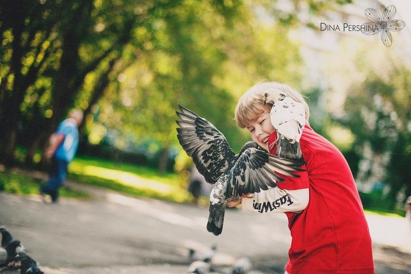 Голуби фото превью