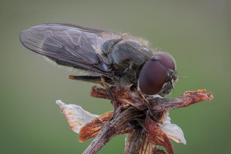 *+-*+ фото превью