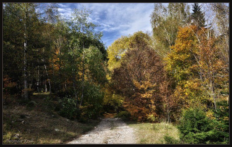 кавказ, кчр, осень Уходя в осенние тайны... фото превью