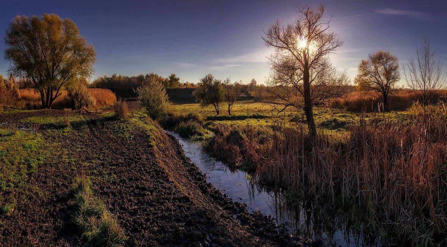 , Игорь Мелекесцев