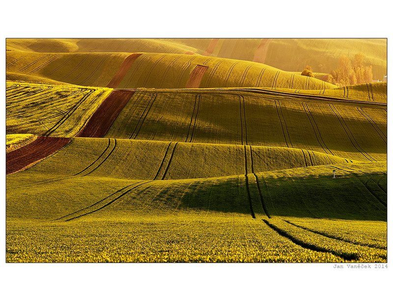 Moravian fields фото превью