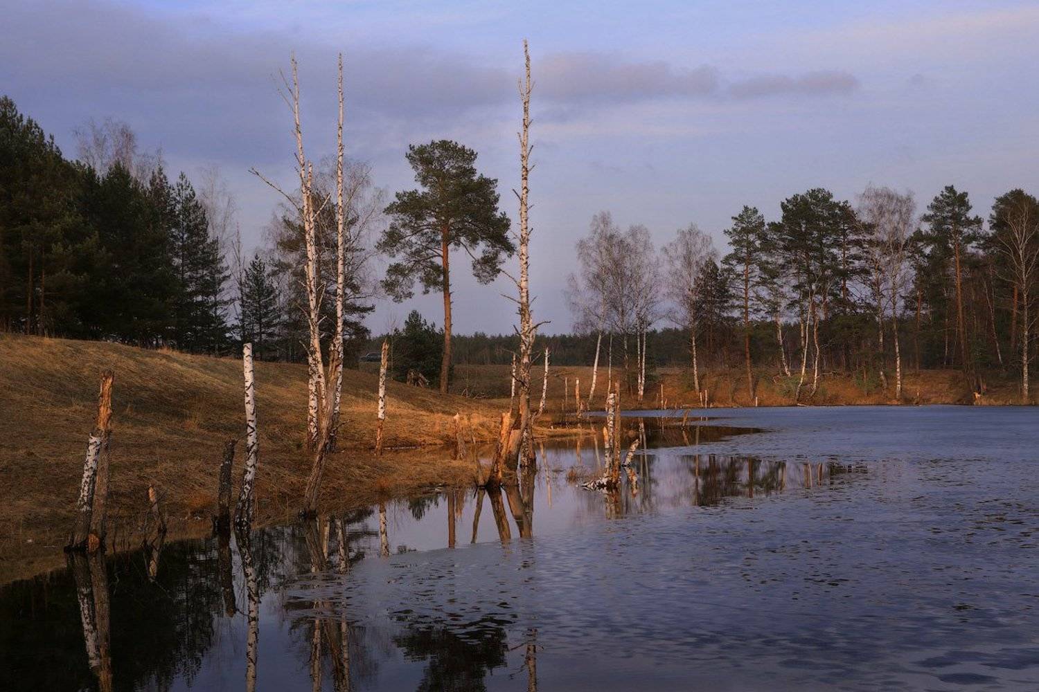 Пейзаж, Дмитрий Алексеев