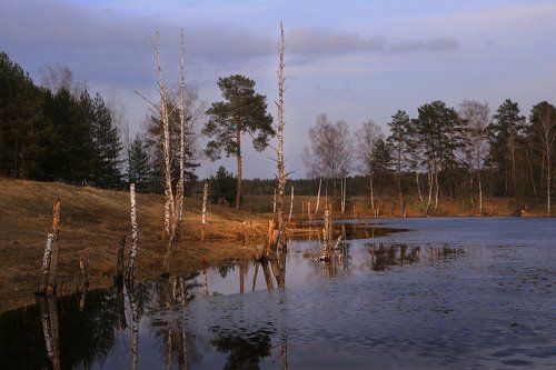 О грустном вечере ранней весной