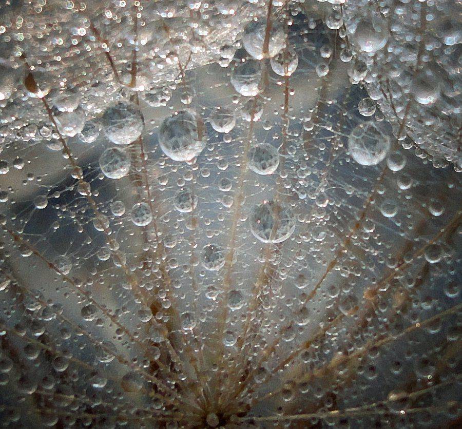 , Таня  Маркова