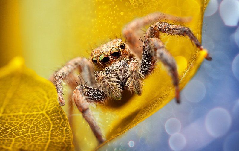 what\'s up ? фото превью