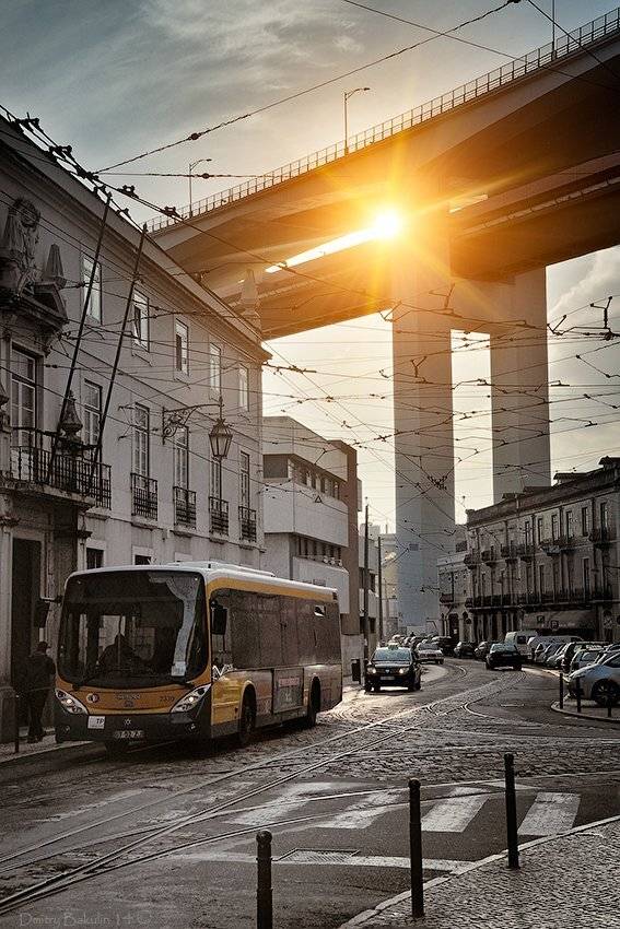 , Дмитрий Бакулин