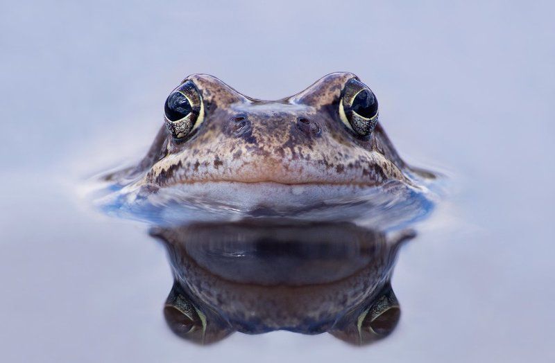 А в глазах небо... фото превью
