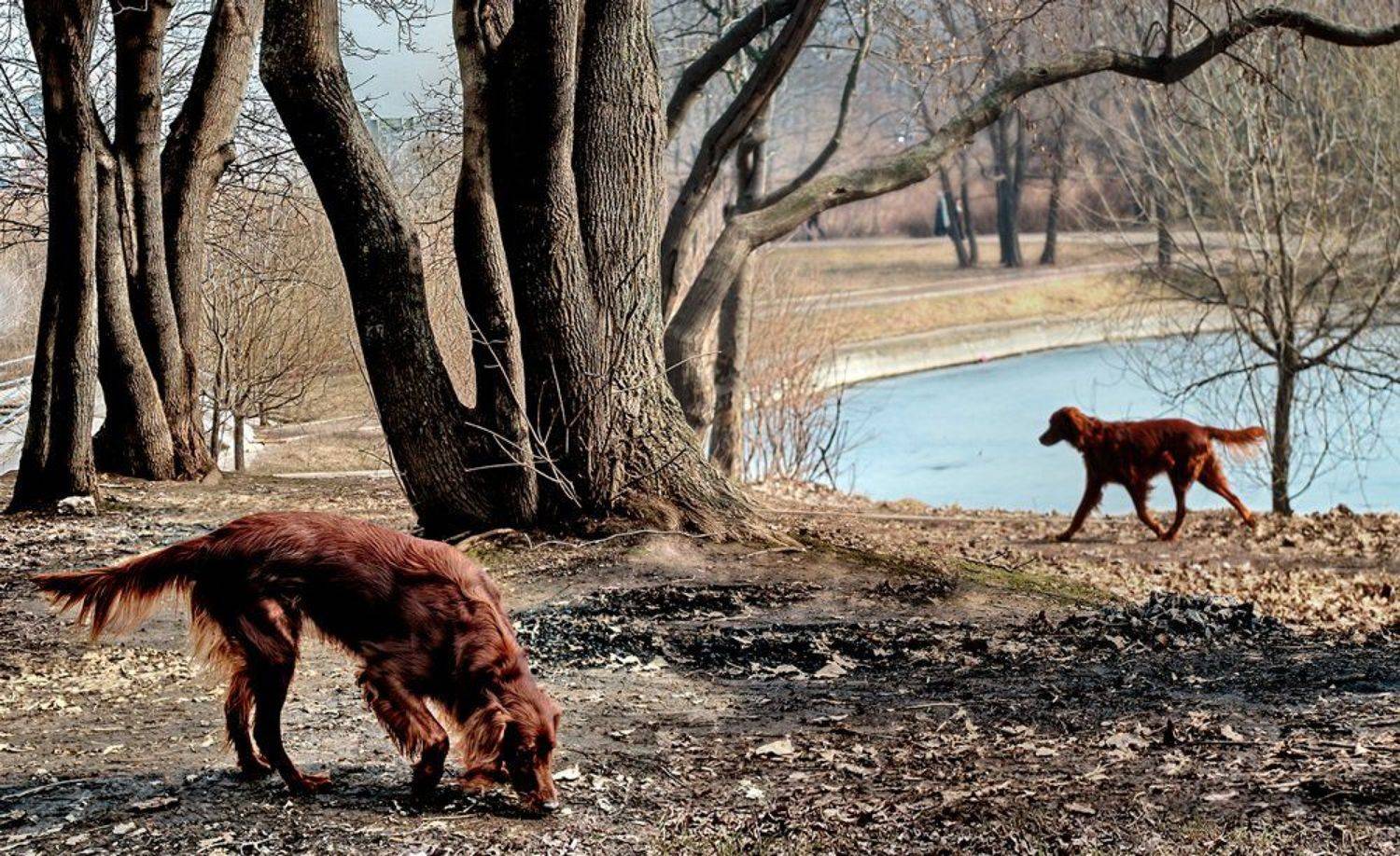 , Валерия Струнникова