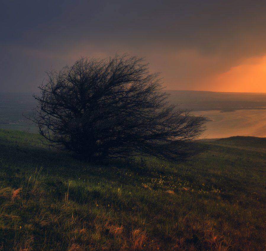, Михаил  Пилипенко