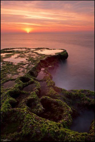 Deep green