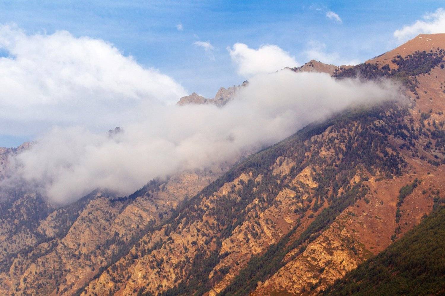 , Эдуард Перов