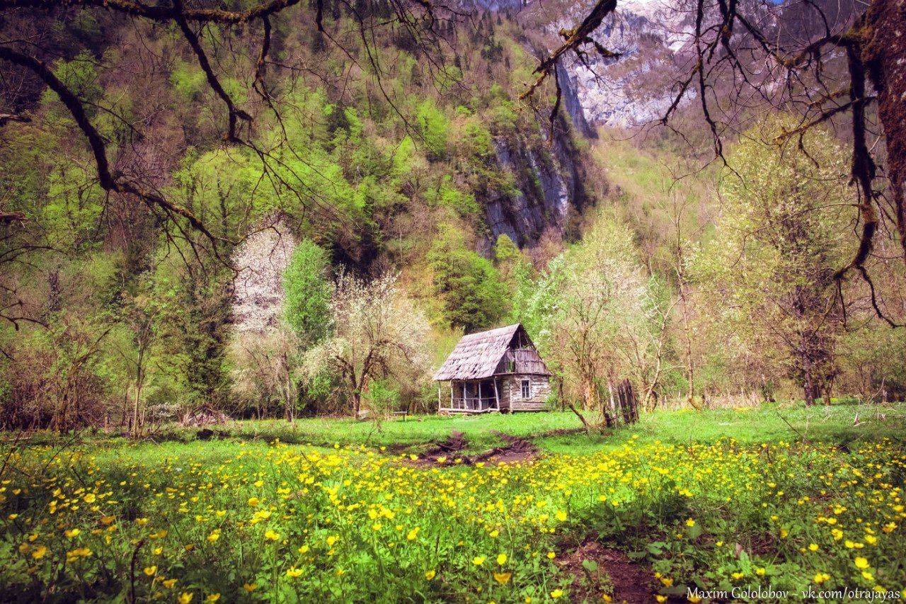 , Гололобов Максим