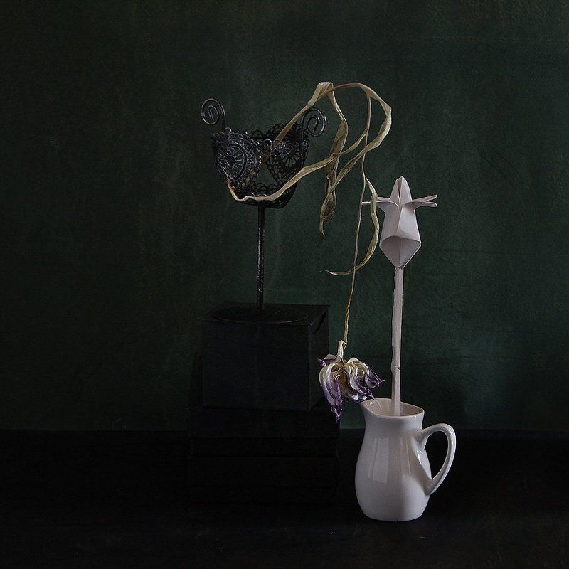 цветы, натюрморт Единство противоположностей фото превью