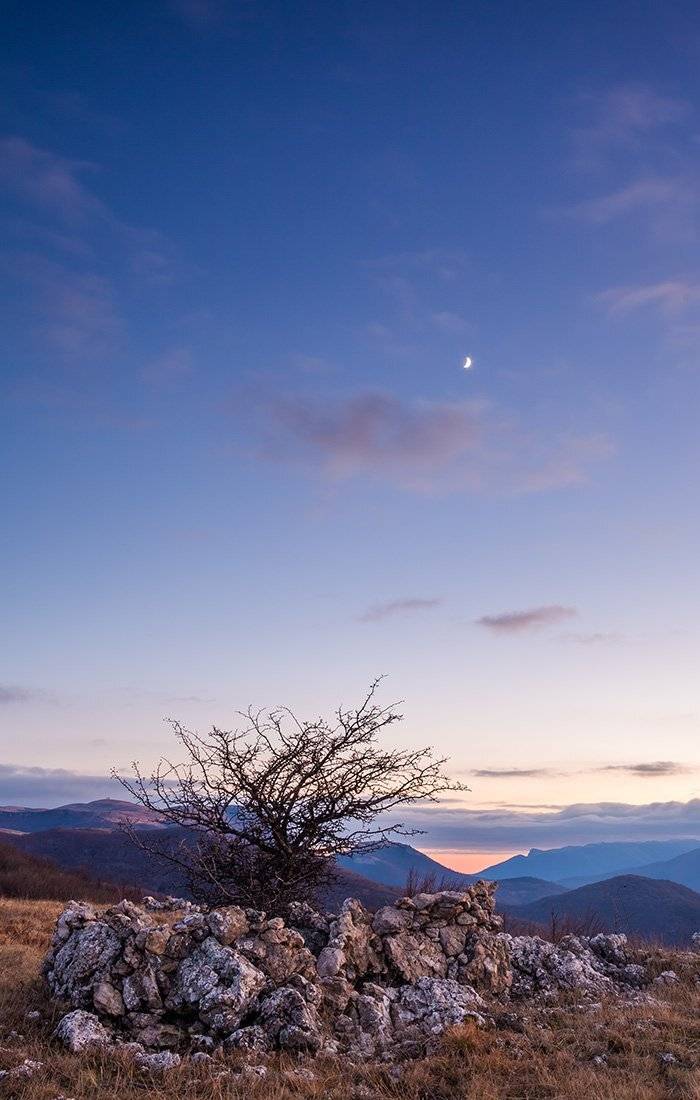 , Станислав Савицкий