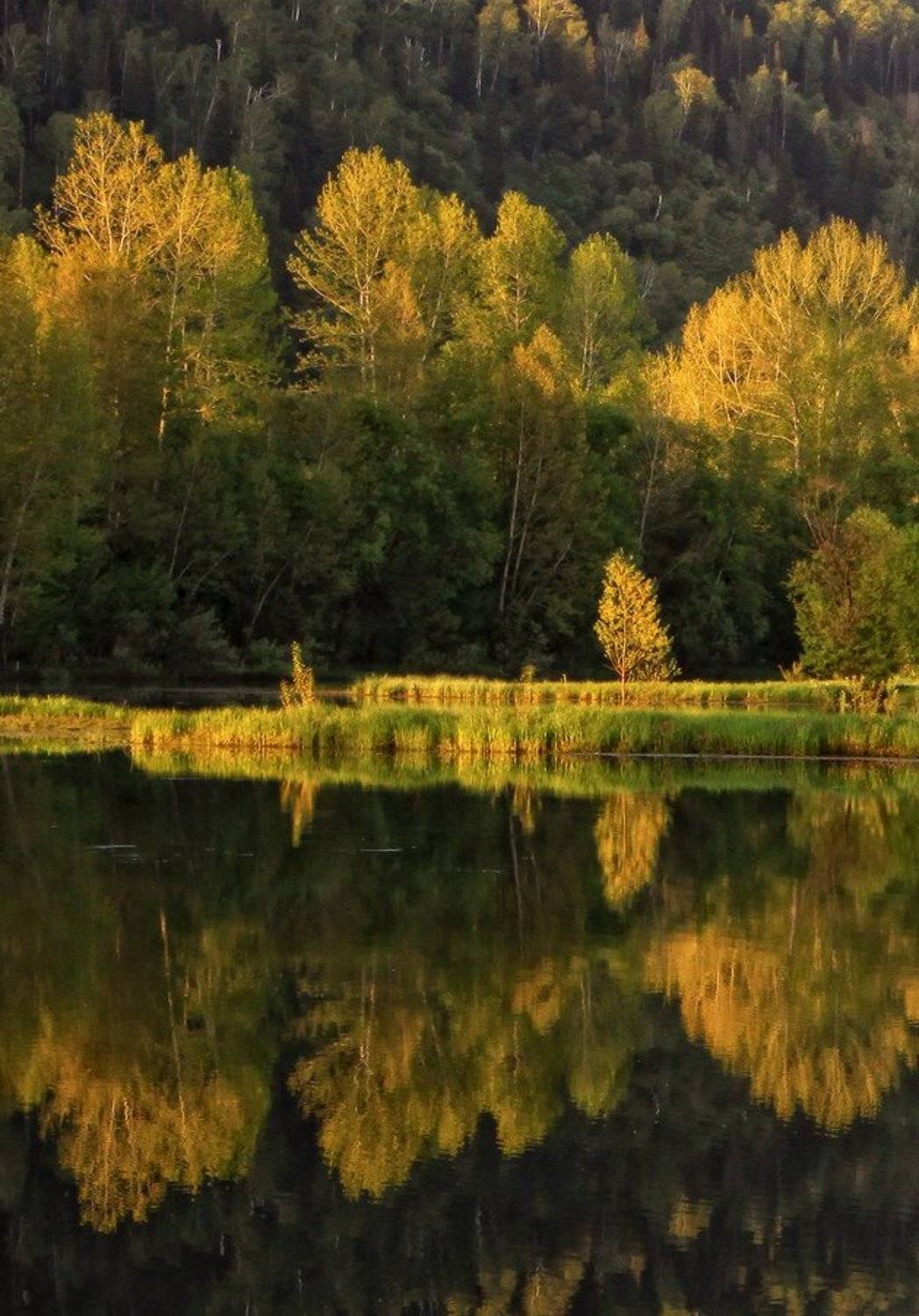 отражение, август, вечер, Галина Хвостенко
