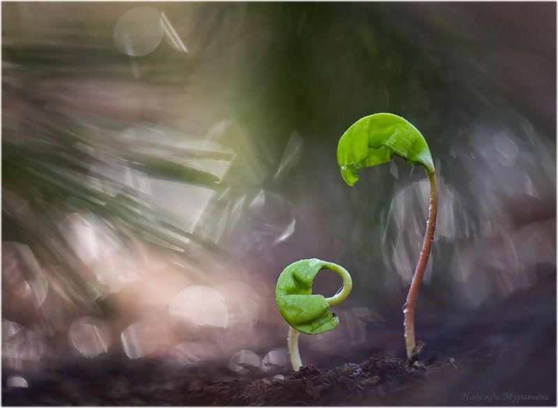 Опять двойка! фото превью