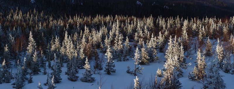 Где надо праздновать Новый Год) фото превью