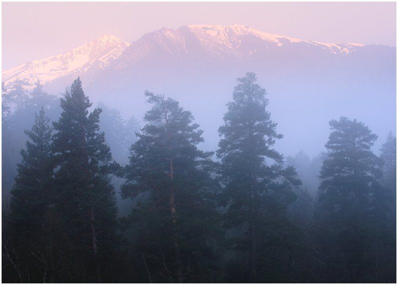 Дыхание горной тайги фото превью