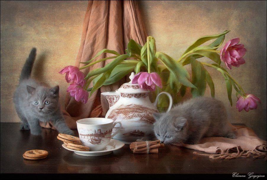 , Eleonora Grigorjeva