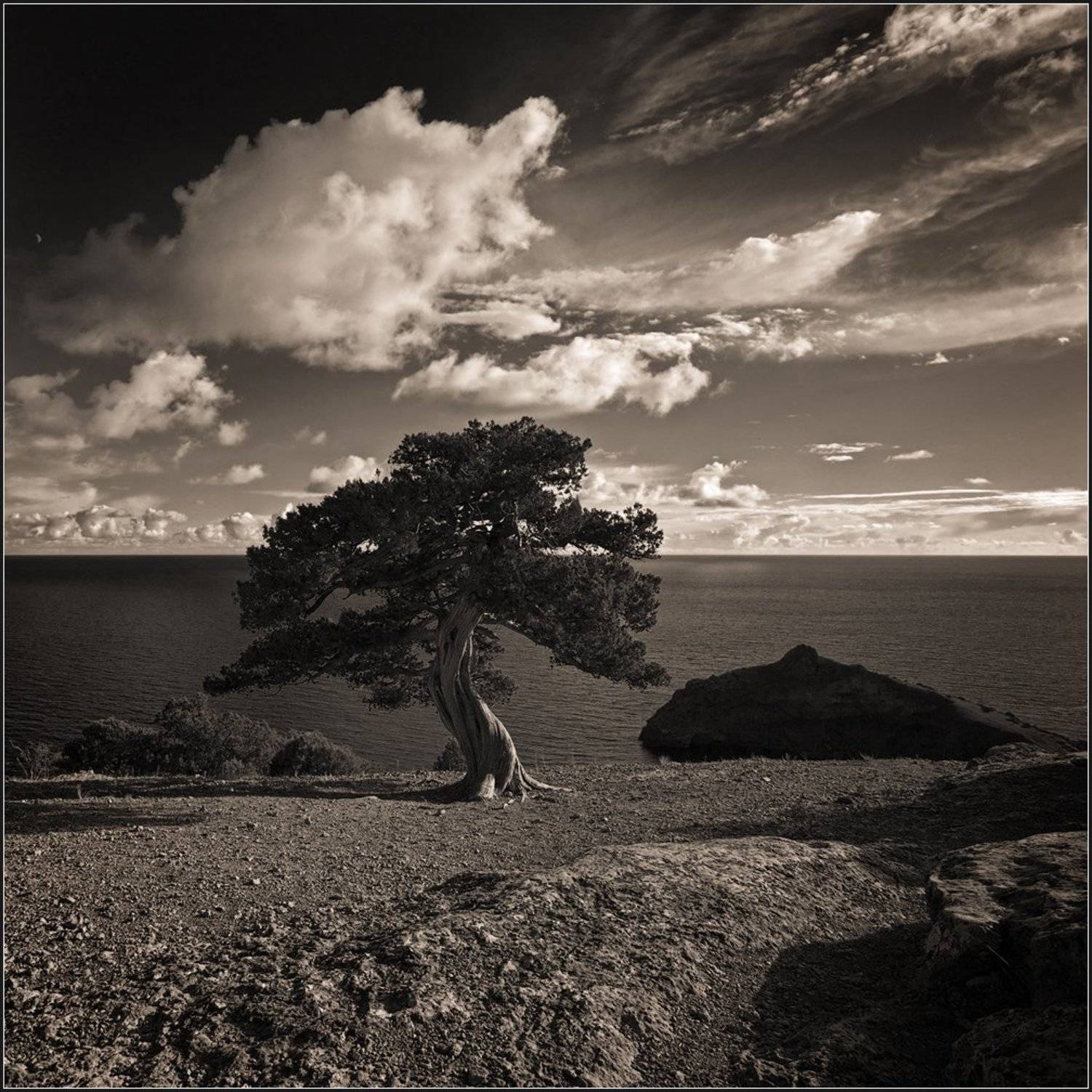 , Олег Дунаев