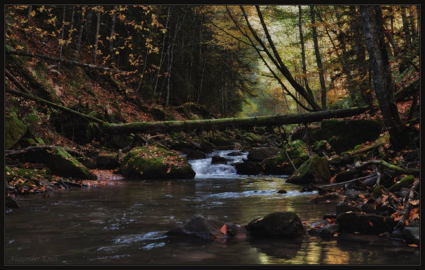 кавказ, кчр, рожкао, речка, осень, лес, Александр Круль