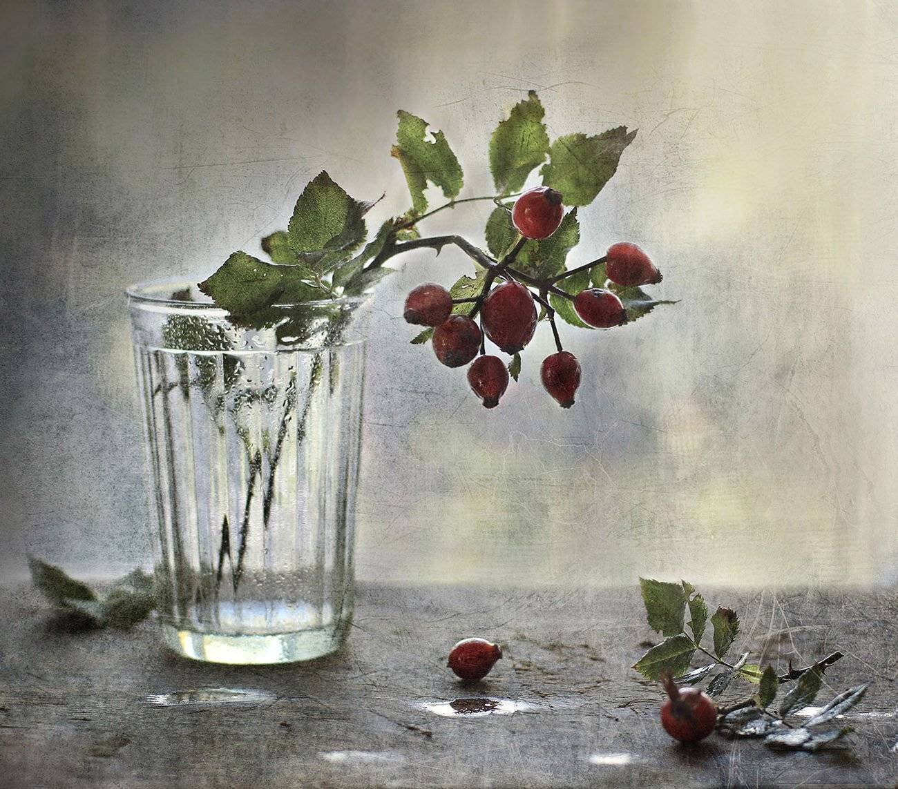 , Светлана Павловская