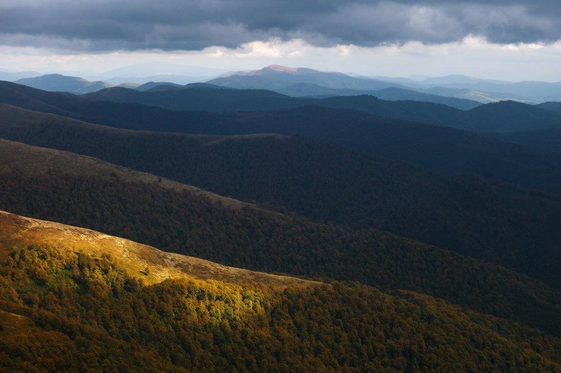 , Ярослав Тюрменко (Jaremi)