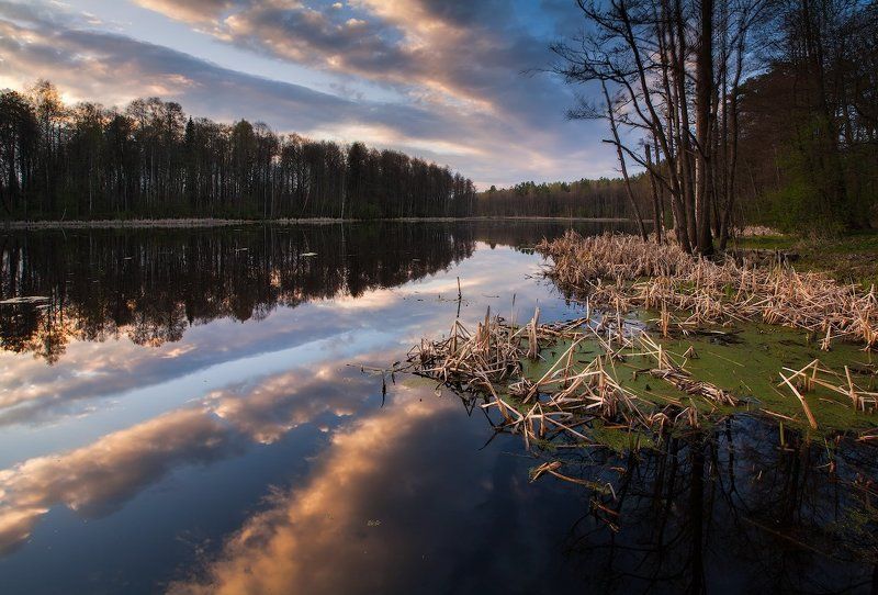 Вечерело фото превью