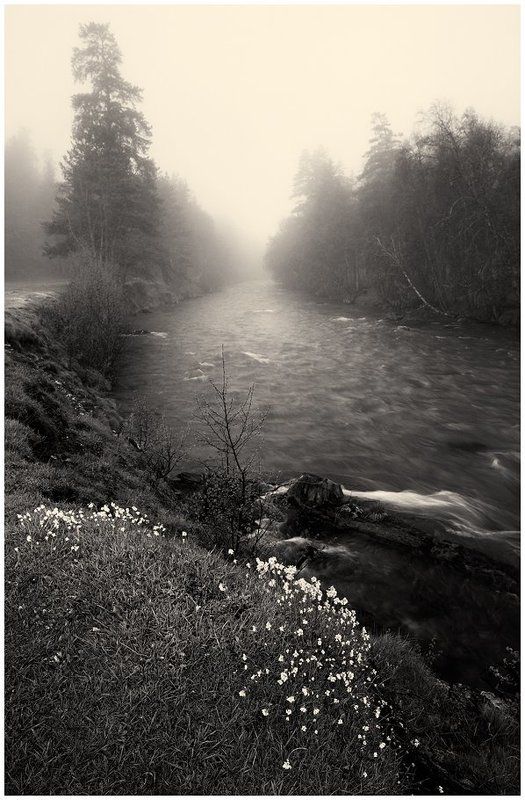 Псыш 3 фото превью