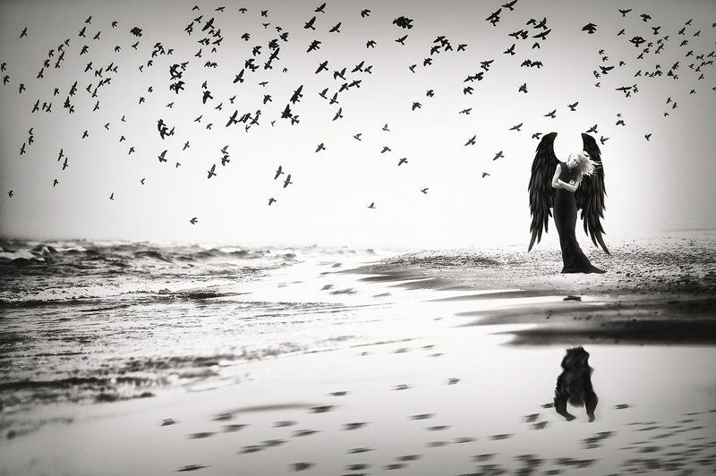 *** фото превью