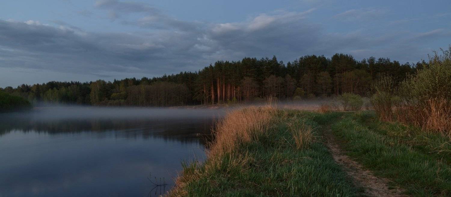 , Михаил Кушнер