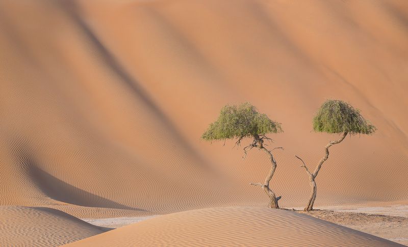 ПЕСКИ ОМАНА... фото превью