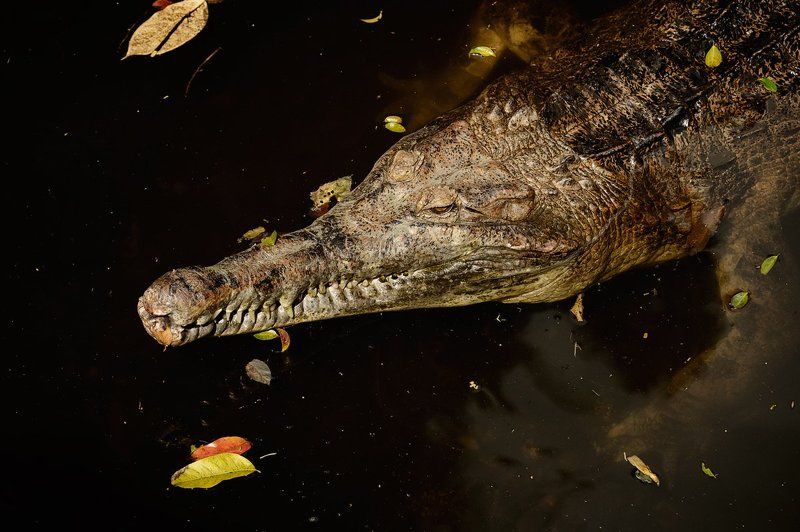 На охоте фото превью