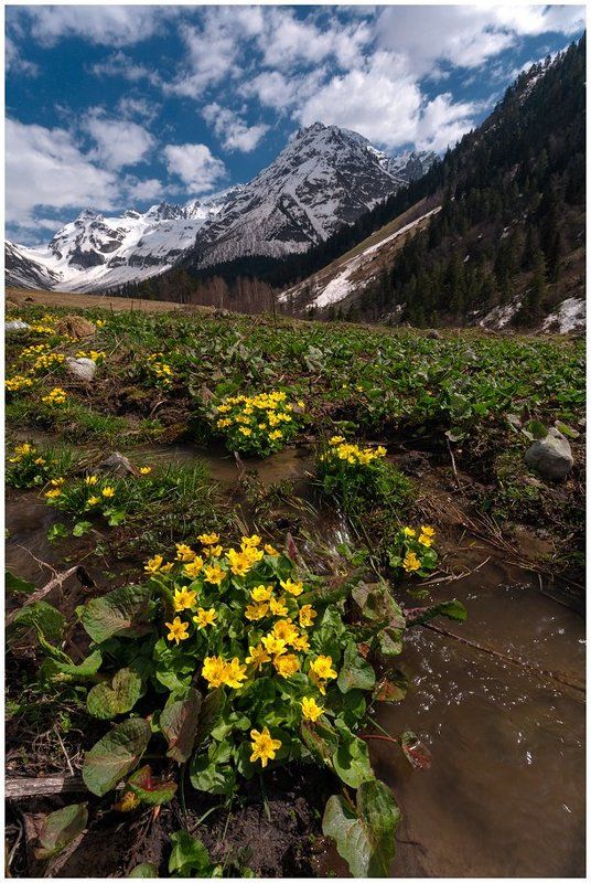 Софийская долина 2 фото превью