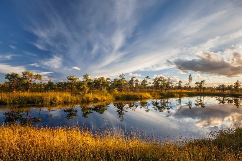 Болото в Кемери фото превью