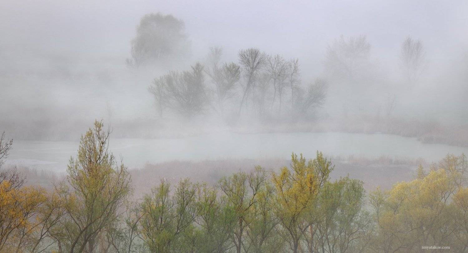 , Михаил Псарёв