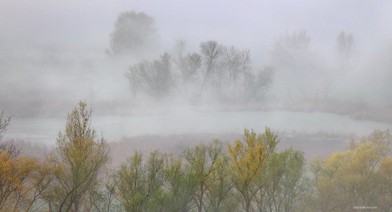 Утро туманное фото превью
