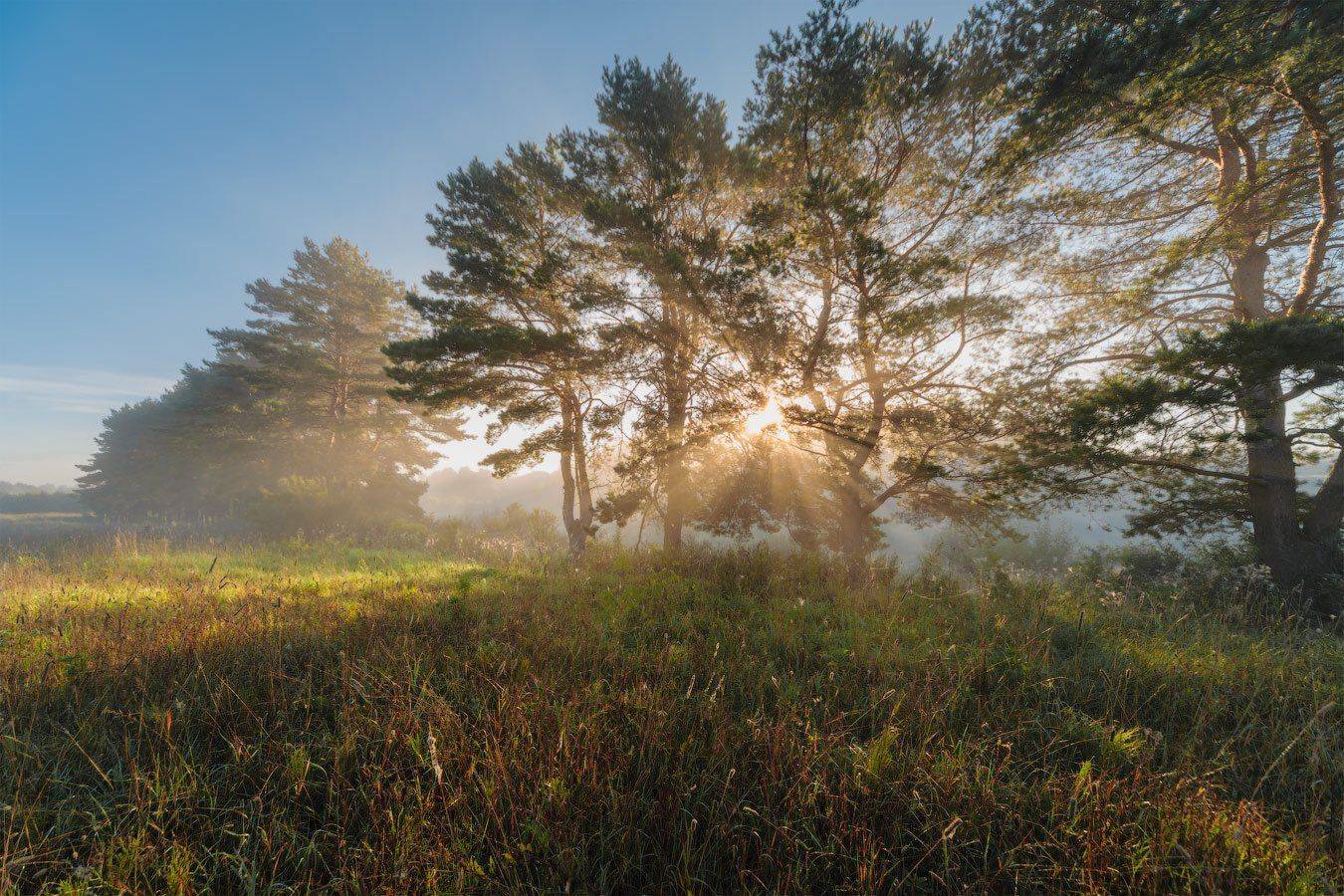 , Олег Логунов