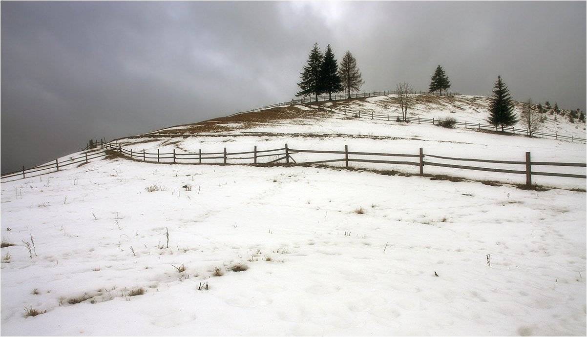 , Тарасов Алексей