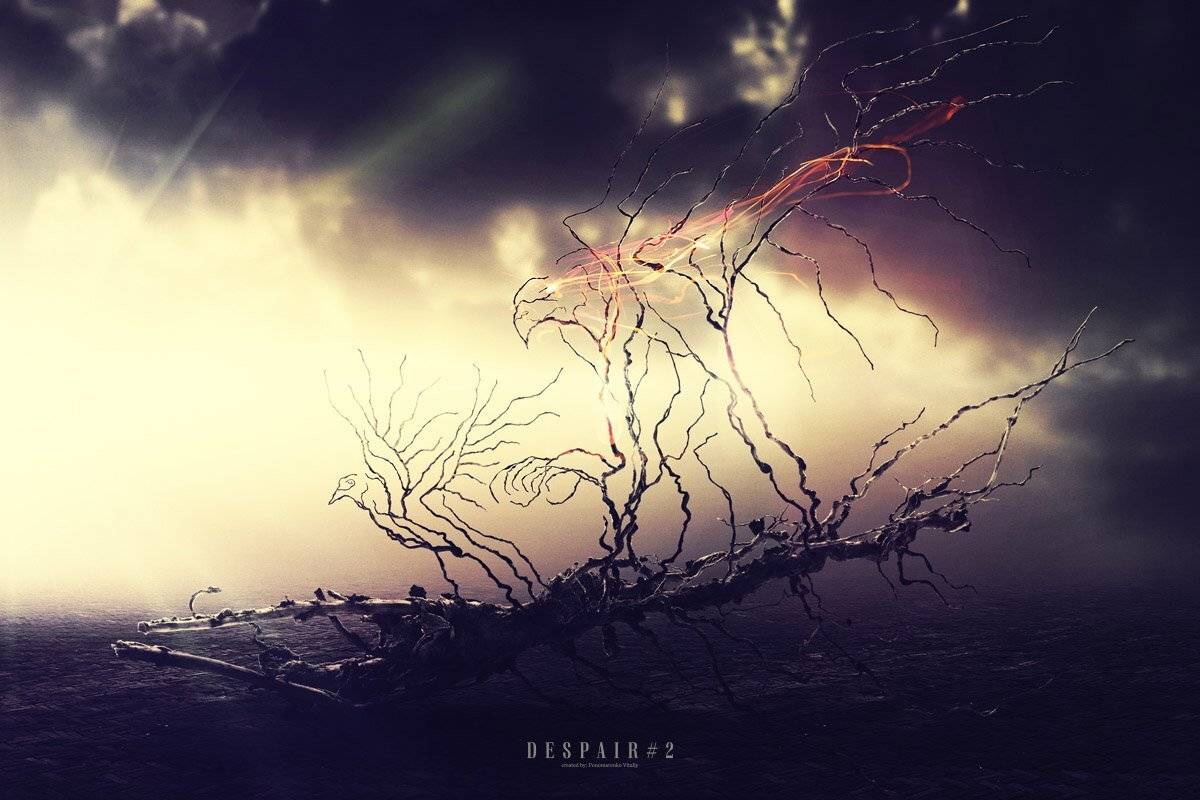 , Виталий Пономаренко