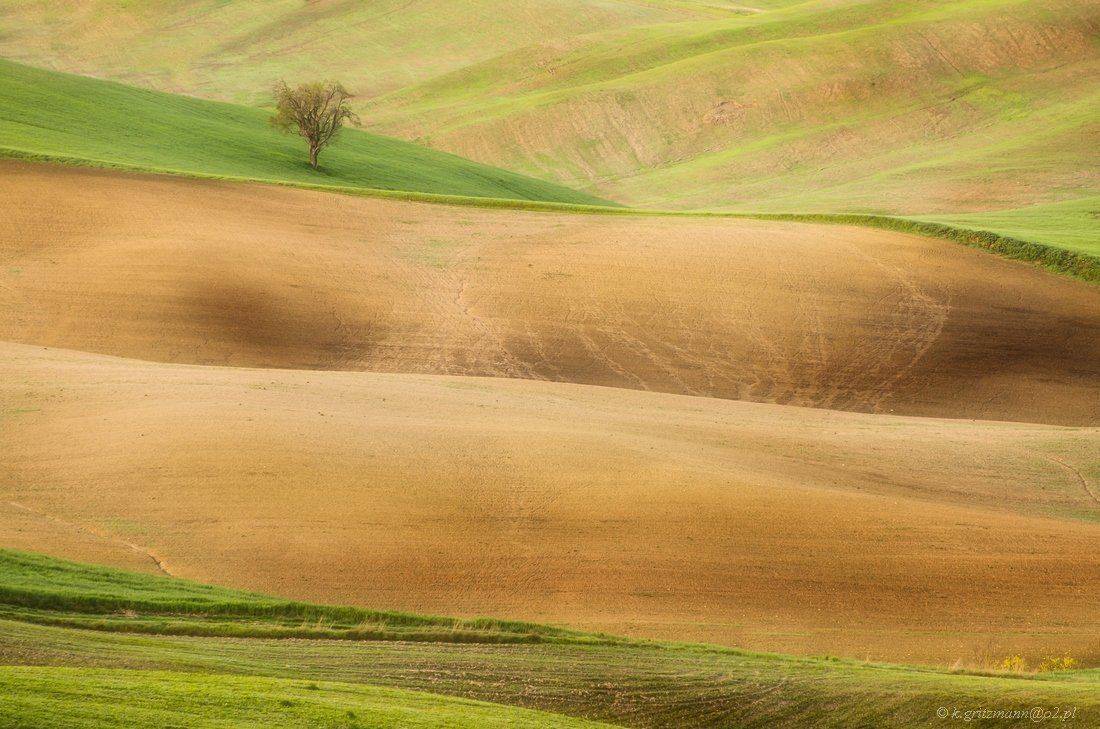 , Katarzyna Gritzmann