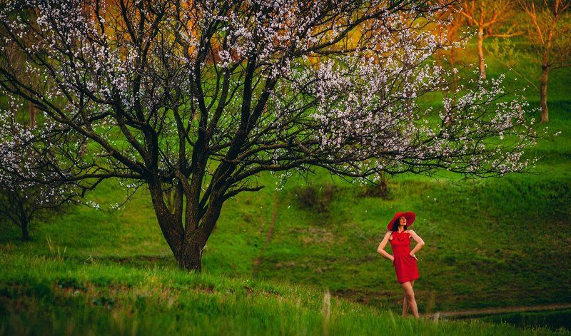 Lady in RED фото превью